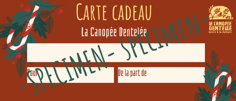 CARTE CADEAU LA CANOPÉE DENTELÉE