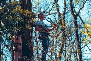 Accrobranche nature proche Toulouse_Canopée dentelée